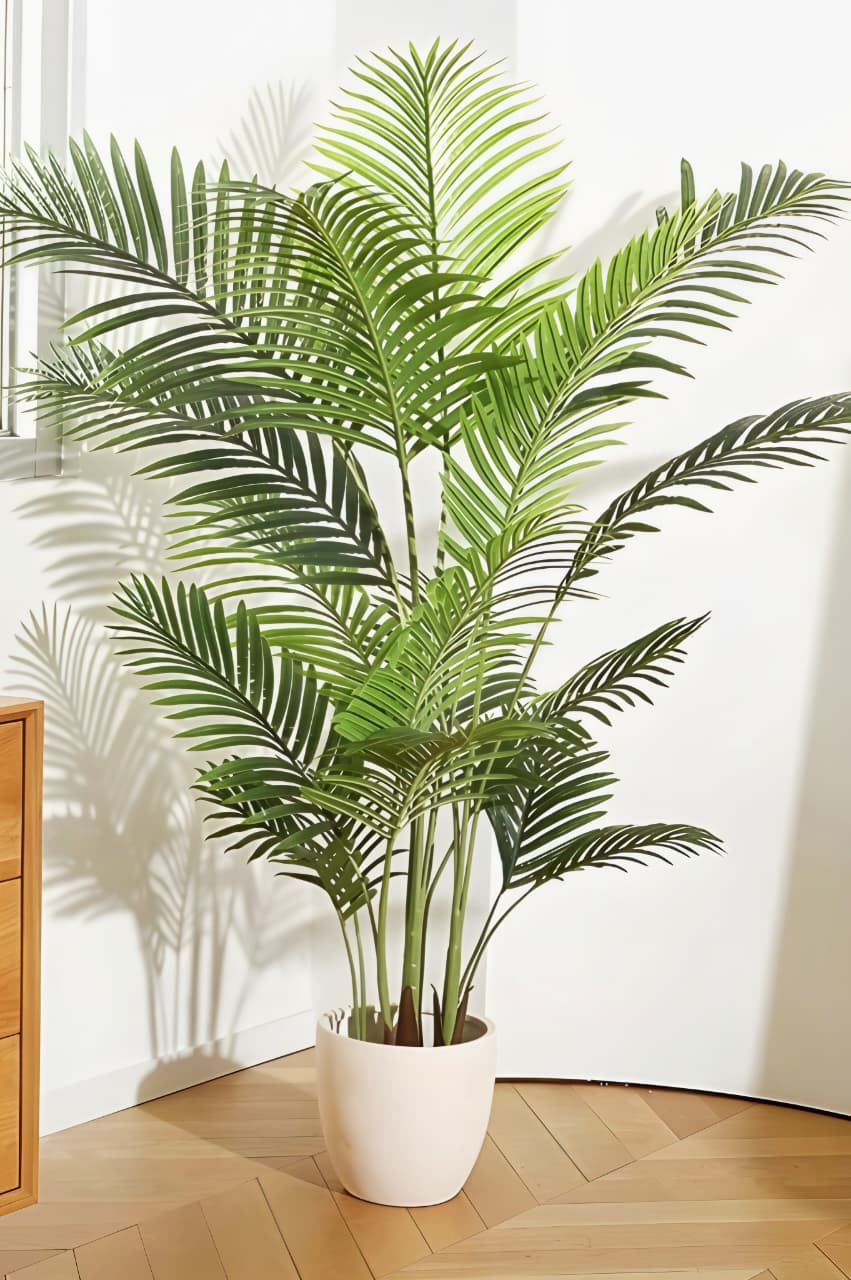 ARECA PLANT 160CM
