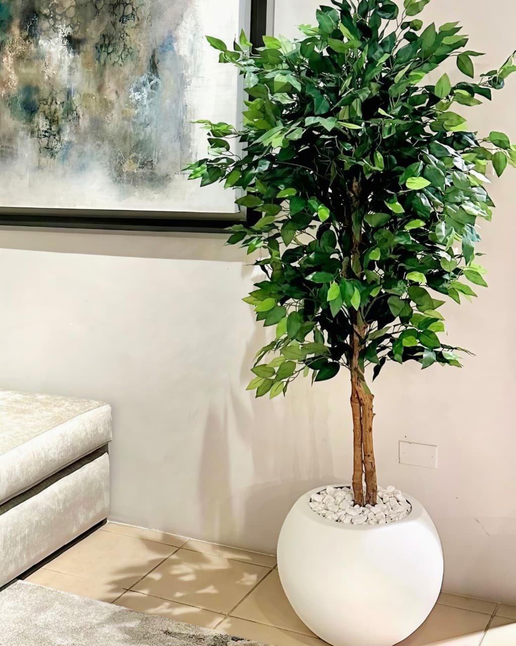 FICUS PLANT 120CM