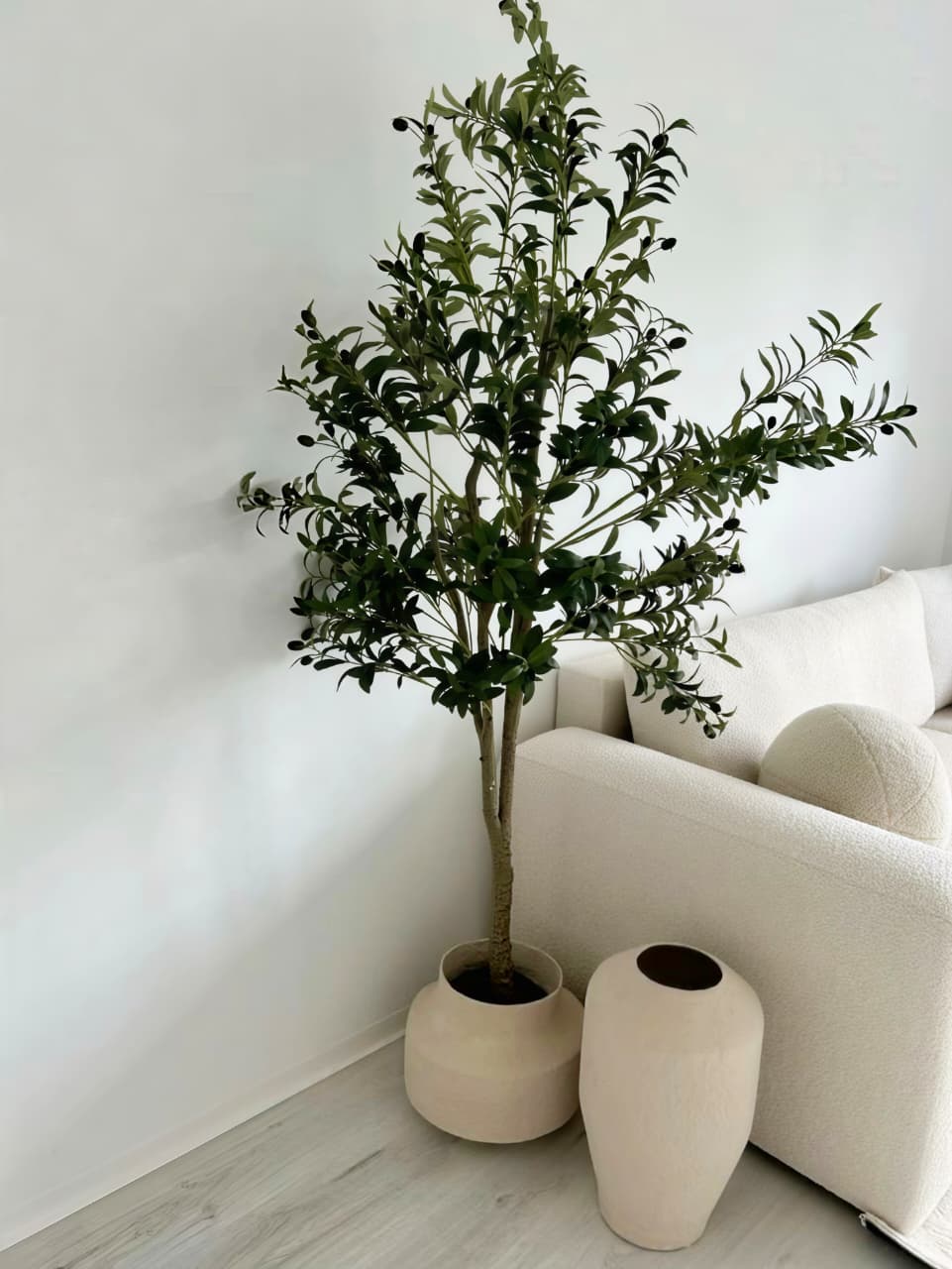 OLIVE TREE 150CM