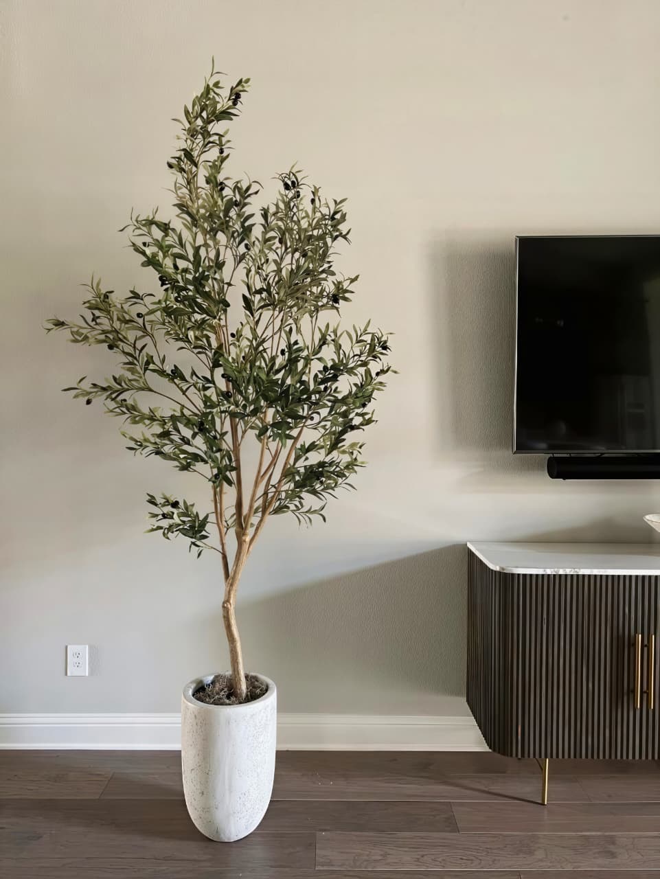 OLIVE TREE 180CM