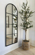 OLIVE TREE 250CM