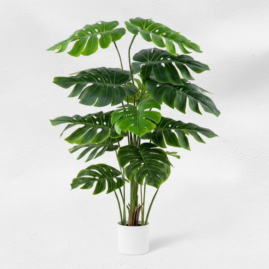 PHILODENDRON SCANDEN PLANT 145CM