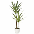 YUCCA PLANT 120CM