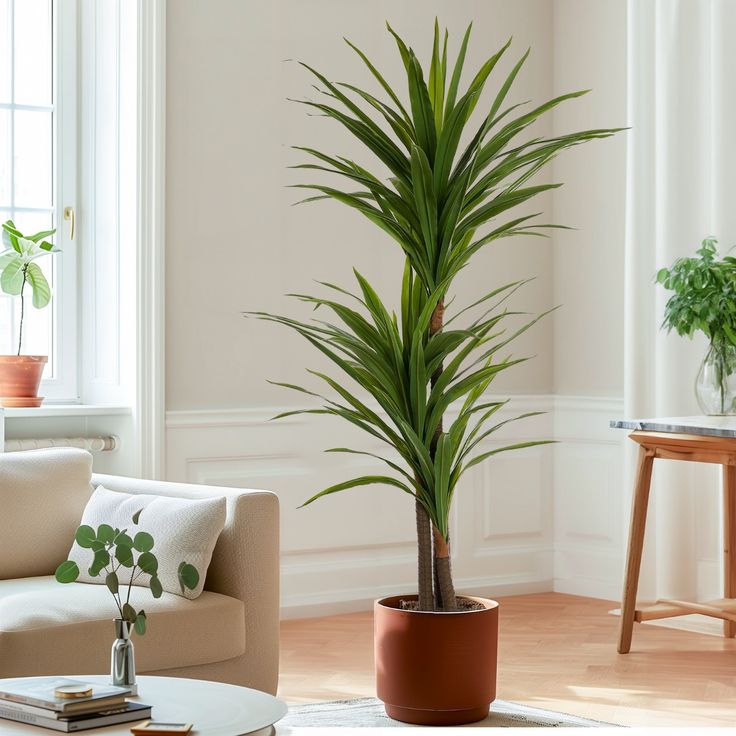 YUCCA PLANT 170CM