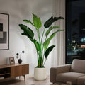 BANANA TREE 250CM