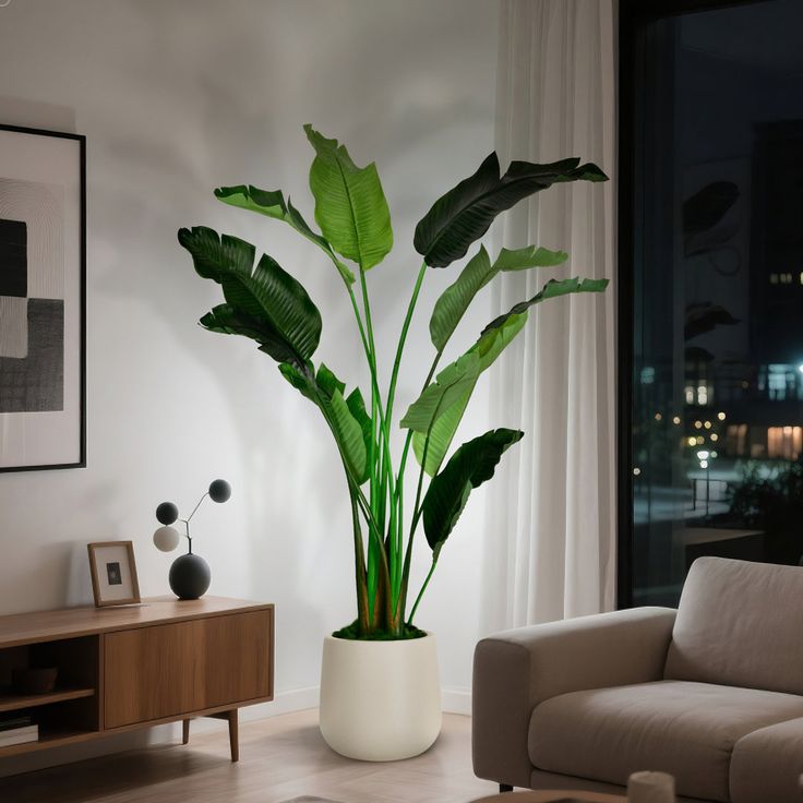 BANANA TREE 250CM