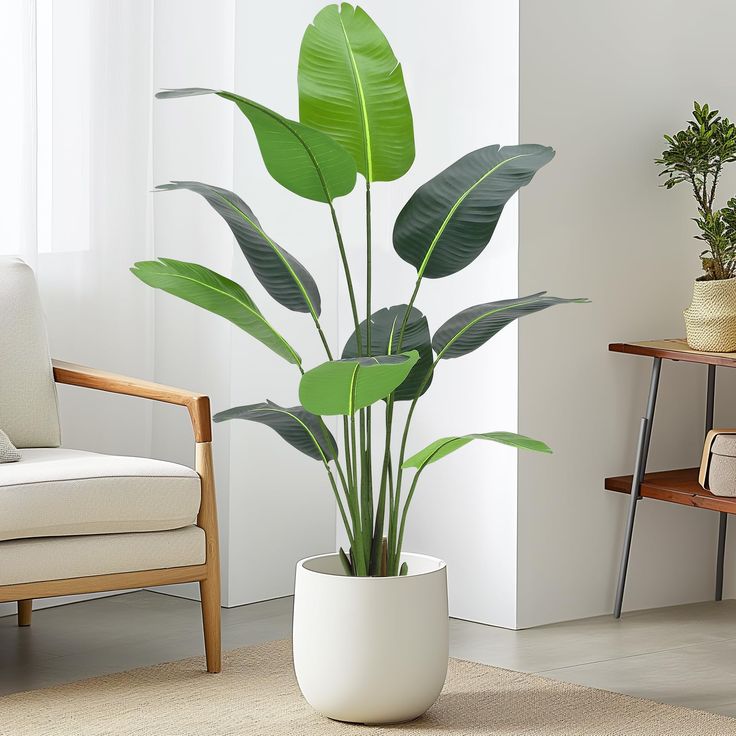 BIRD OF PARADISE 180CM