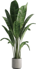 BIRD OF PARADISE 210CM