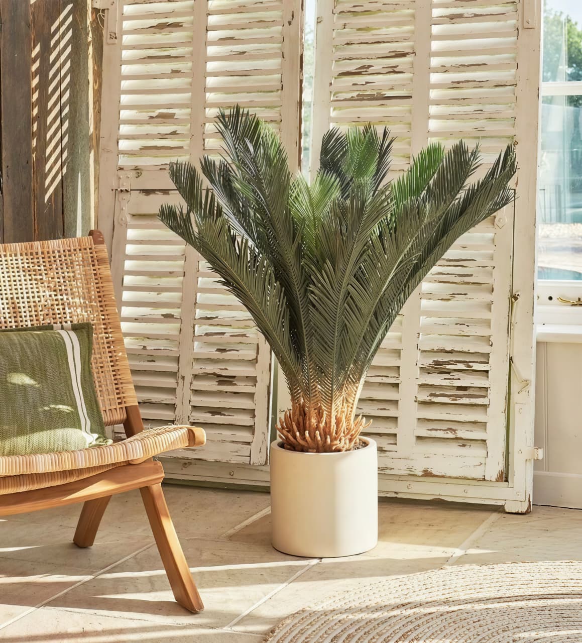CYCAS PALM PLANT 90CM